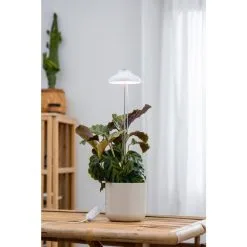 Airam Iris IP20 5W 240lm Valkoinen Kasvivalo -Konstsmide Kauppa 6435200292629 2