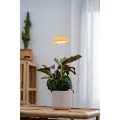 Airam Iris IP20 5W 240lm Keltainen Kasvivalo 7 Airam Iris IP20 5W 240lm Keltainen Kasvivalo -Konstsmide Kauppa 6435200292643 2