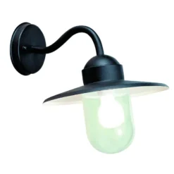 Bolthi Rufus Seinävalaisin