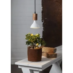 Star E27 PAR38 1700lm Led Kasvilamppu -Konstsmide Kauppa 7391482039729 3