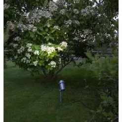 Star Trading Spotlight Focus 30cm Puurhavalaisin 8 Star Trading Spotlight Focus 30cm Puurhavalaisin -Konstsmide Kauppa 7391482056993 3