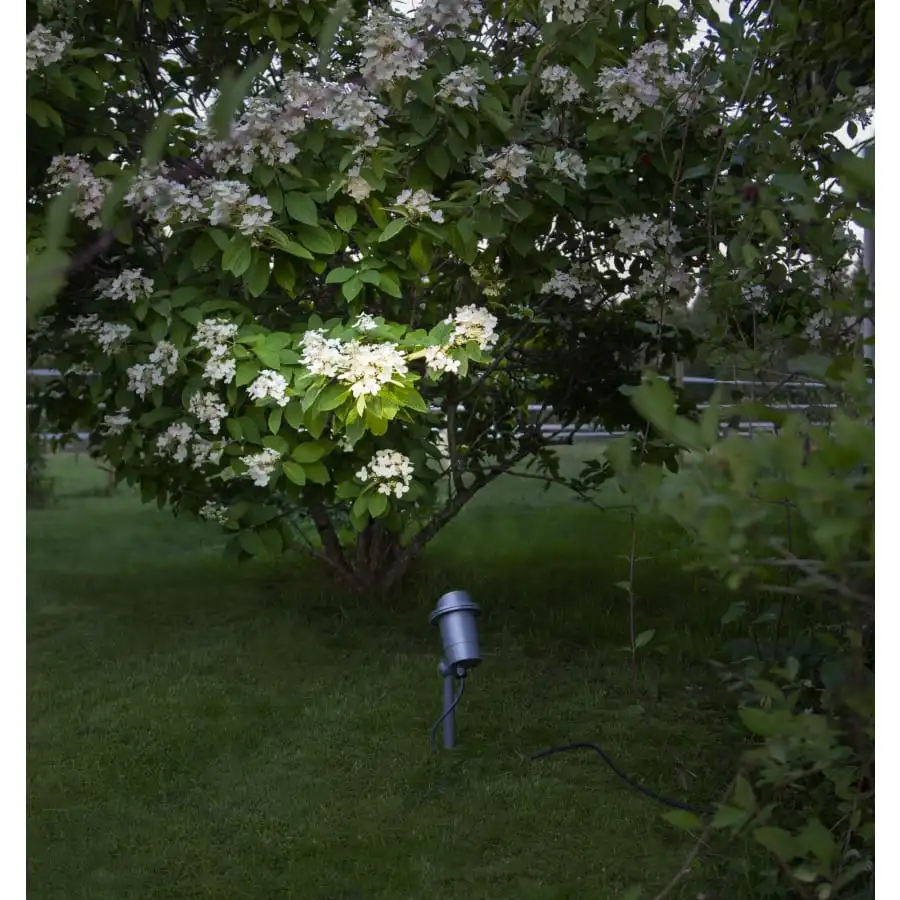 Star Trading Spotlight Focus 30cm Puurhavalaisin 5 Star Trading Spotlight Focus 30cm Puurhavalaisin - Image 3