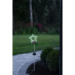 Star Trading Linny Star Aurinkokennokoriste