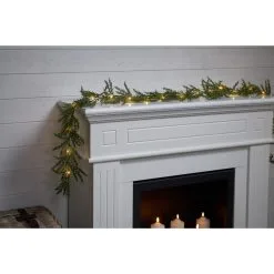 Star Thuja Köynnös